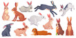 Cartoon hares poses. Wild spring gray hare with carrot, cute bunny running sleeping or standing jackrabbit, white brown easter rabbits collection
