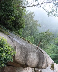 Poster - mountain rock in the forest