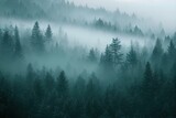 Fototapeta Las - Fir trees in the fog in the mountains. High quality photo
