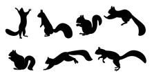 Squirrel With Vector Silhouette. Funny Wild Animal Cartoon Squirrel Running, Standing And Jumping. Vector Squirrel Collection Cartoon Animal Character Design Isolated Flat  Illustration.