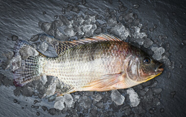 Wall Mural - Tilapia with ice on dark background, Fresh raw tilapia fish from the tilapia farm