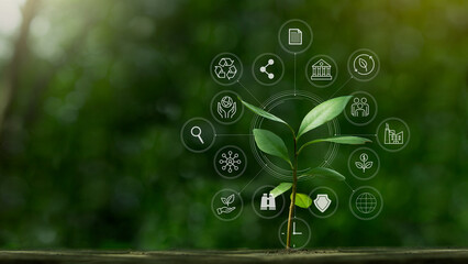 esg icon concept with small tree for environmental, social, and governance in sustainable and ethica