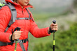 © Antonioguillem - Hiker hands using poles to trek in the mountain