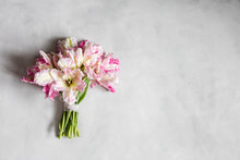 Bouquet Of Pink Blooming Silver Parrot Tulips Lying Against White Background