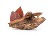 Composition with a log, a mushroom and autumn leaves on a white background, front view. Wooden podium for presentation of natural organic cosmetics or health therapy products.