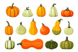 Pumpkins, squash realistic set. Fall harvest gourds. Colorful pumpkin orange, yellow, white green