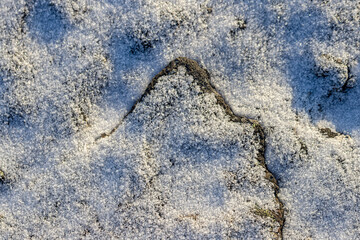 Wall Mural - Beautiful winter background with snowy ground. Natural snow texture.