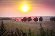 Polski krajobraz pól uprawnych o zachodzie słońca