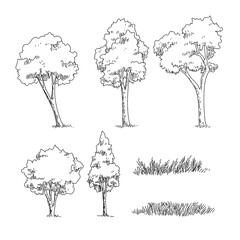 set of trees sketch hand drawing silhouette black and white vector illustration.