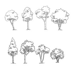set of trees sketch hand drawing silhouette black and white vector illustration.