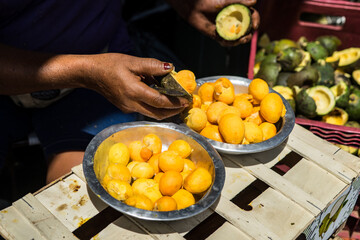 Two basins full of peeled pequi and the hand of the woman who peels the pequi (Caryocar brasiliense), native fruit of the Brazilian cerrado.