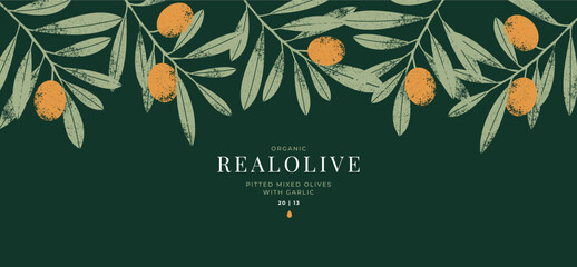 Olive horizontal design template. Olive leaves and branches. 