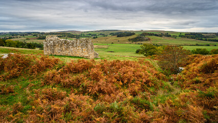 Sticker - Low Cleughs Bastle looks over Redesdale, the ruins of an early 17th century bastle or defensible farmhouse in the Anglo-Scottish Borders as protection against Border Reivers