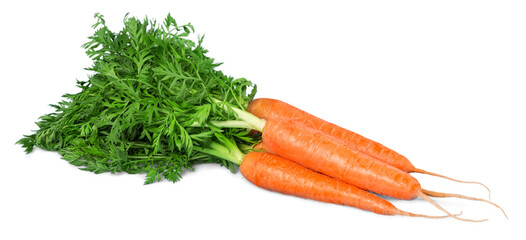 carrot vegetable with leaves isolated on white background cutout