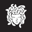 medusa head logo template. ancient Greek mythology character. woman with snake hair.