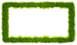 Grass frame on a transparent background. Grass rectangular frame, copy space.