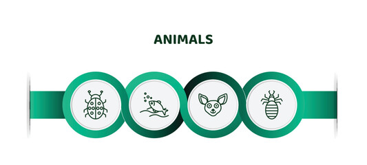 Wall Mural - editable thin line icons with infographic template. infographic for animals concept. included ladybird, fishes in the ocean, chihuahua, louse icons.