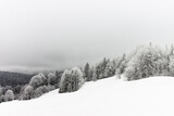 Fototapeta  - Krajobraz zimowy w górach