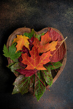 Fall Leaves Are Kept In A Heart Wooden Bowl 