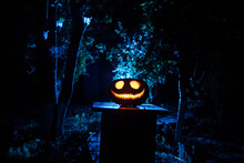 Pumpkin Burning In Forest At Night - Halloween Background. Scary Jack O Lantern Smiling And Glowing Pumpkin With Dark Toned Foggy Background. Selective Focus