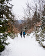 Winter nordic walking in the forest