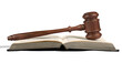 © BillionPhotos.com - Book and wooden gavel on table. Justice concept