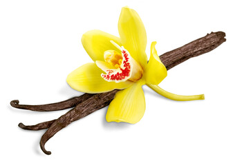 Wall Mural - Vanilla pods and  flower isolated on white background