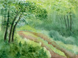 Trail through the woods in watercolor.