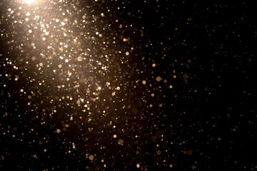 Wall Mural - organic dust particles floating in light ray on black background. glittering sparkling flickering gl