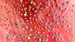 © kgcreeper - the texture of red mushroom fly agaric