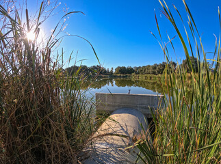 Poster - Concrete drain pipe emptying into a pond with cattails 