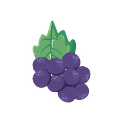 Sticker - flat grapes design