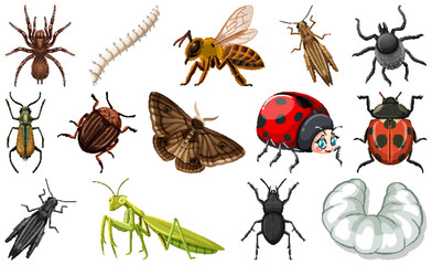 Wall Mural - Different kinds of insects collection