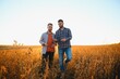© Serhii - Two farmers in a field examining soy crop at sunset