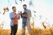 © Serhii - Two farmers in a field examining soy crop at sunset
