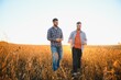 © Serhii - Two farmers in a field examining soy crop at sunset