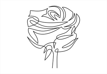 Wall Mural - One line rose design. Hand drawn minimalism style illustration