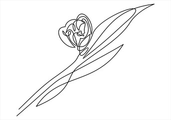 Wall Mural - Tulip one line drawing. Continuous line flower. 