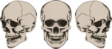 Vector Human Skull Silhouette 