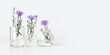Minimal floral composition, violet flower bushy aster in glass vases, aesthetic blooms on table. Autumn or summer holiday still life with light background, minimal botanical trend banner