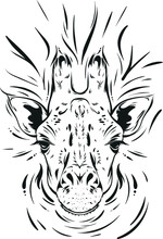 Abstract Uncolored Giraffe Illustration Line Art For Coloring With Kids In Art Lessons