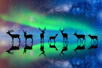 Sticker - Deer family on frozen lake. Animal herd silhouette. Aurora borealis