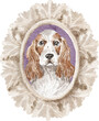 English cocker spaniel dog portrait