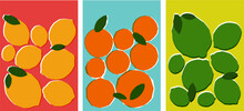 A Set Of Three Contemporary Dual Tone Citruses Vector Illustrations. Bauhaus Influence Contemporary Risograph Effect Illustration. Oranges, Lime And Lemons Vector Illustrations.