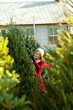 © Sean Locke - Tree Lot: Woman Picking Out Holiday Tree