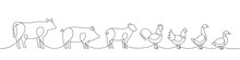 Farm Animals One Line Continuous Drawing. Cow, Pig, Sheep, Rooster, Chicken, Goose, Duck Silhouettes. Farm Animals One Line Illustration.