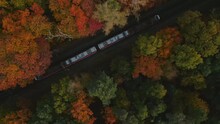 Aerial Top Down Shot Of Train That Goes Through The Forest In The Middle Of Autumn Season. Fall And Eco Transportation Concept. Rare View.