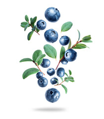Wall Mural - Wet blueberries with green leaves in the air close-up