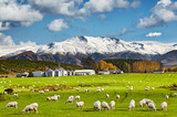 Fototapeta Tęcza - Beautiful New Zealand landscape