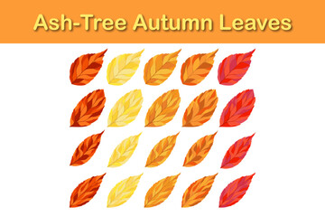 Poster - Ash-Tree Leaf Set